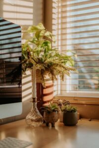resized_106060